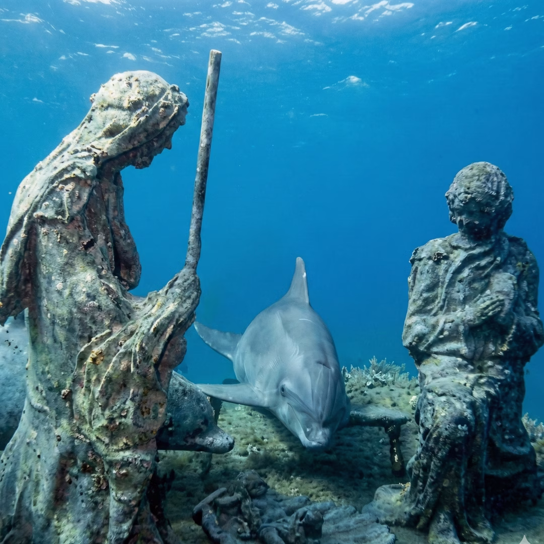Underwater Christmas Tellaro