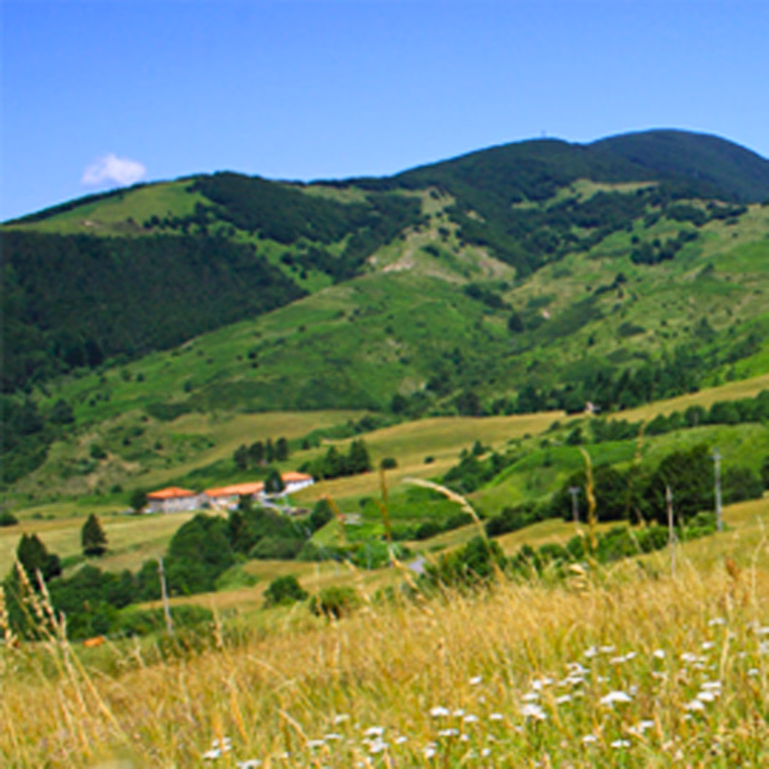 Green wooded hills and a medieval village in the Val di Vara, Liguria